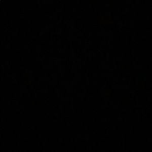 Meet your Posher, Beza